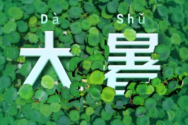 �W� | ������,���ʢ